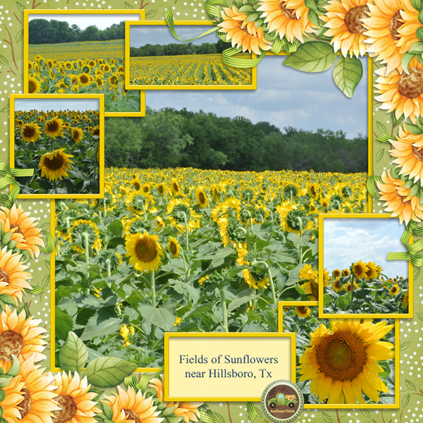 6-scr-gnomes-luv-sunflowers-poki02