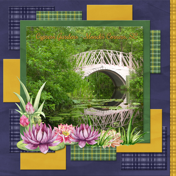 6-scr-lakeside-lots-squares-T02