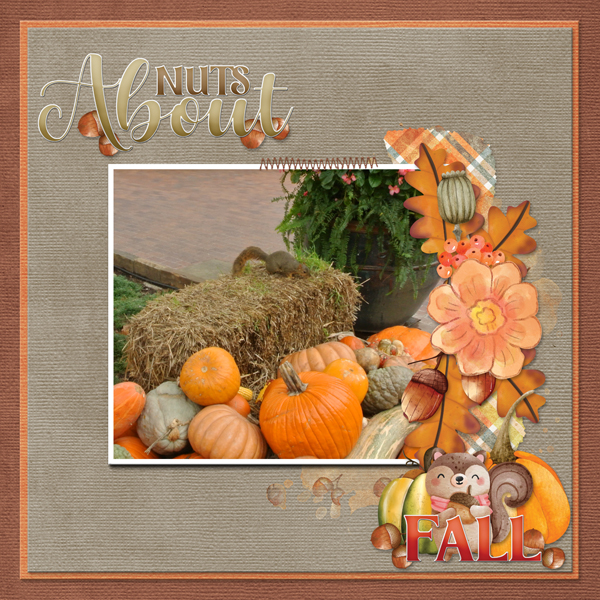 6-scr-nutsaboutfall-tagyourit02