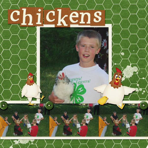6-Stiles_chickens_2013_small