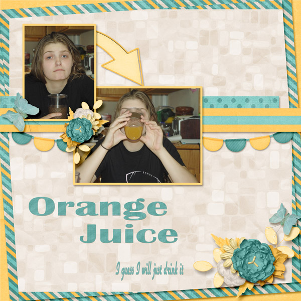 6-Tasha_orange_juice_2013