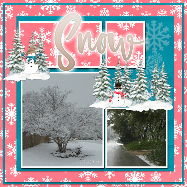 6-winter4snowfall-Jan25-S03-T01-poki04