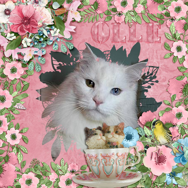 600-adb-designs-cherish-pia-01