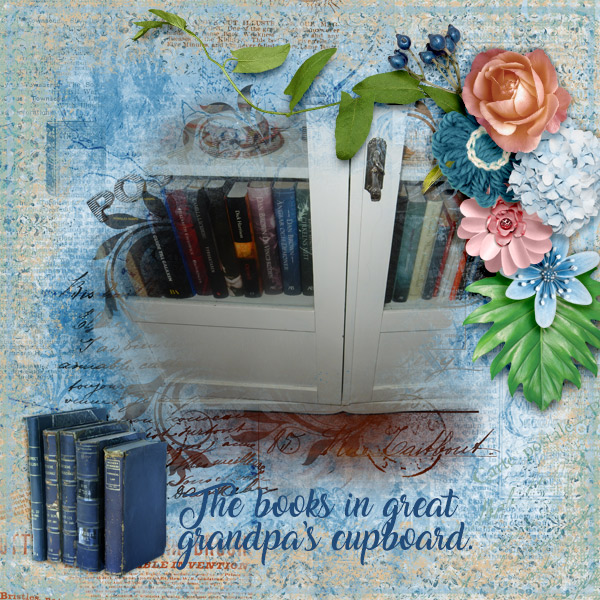 600-adbdesigns-bibliophile-pia-02
