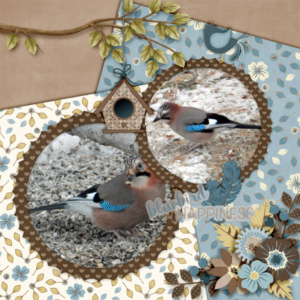 600-adbdesigns-bluebird-happiness-pia-02