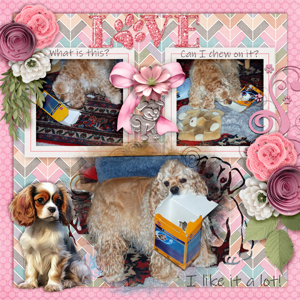 600-adbdesigns-canine-cuties-pia-01