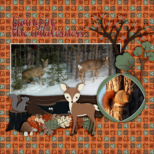 600-adbdesigns-forest-sanctuary-pia-01