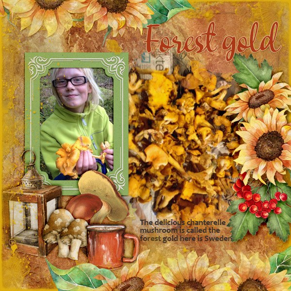 600-adbdesigns-harvest-season-pia-01