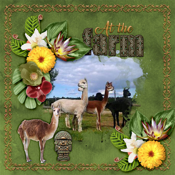 600-adbdesigns-into-wild-pia-01