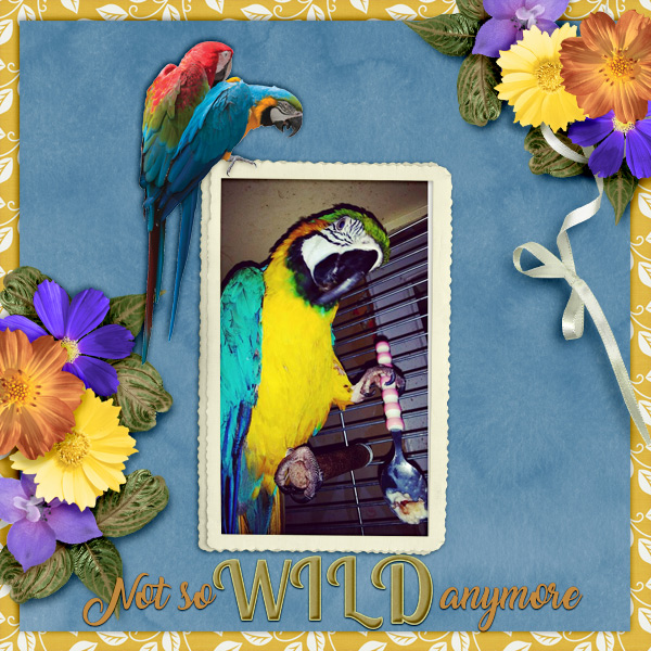 600-adbdesigns-into-wild-pia-02
