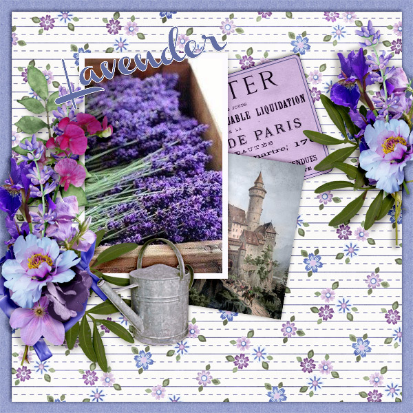 600-adbdesigns-provence-lavender-pia-01