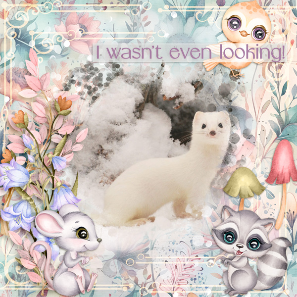 600-adbdesigns-serendipity-pia-01