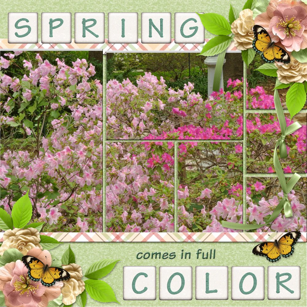 600-ADBDesigns-wishingforspring-poki01.jpg