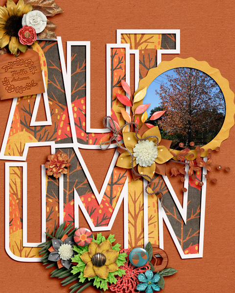 600-funfactory-fall-summary-ii-marlyn-01