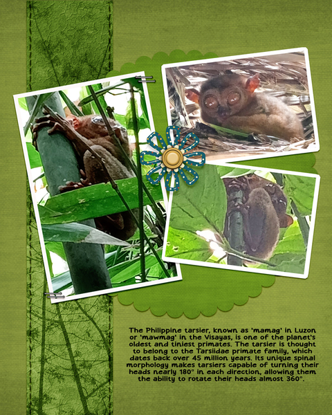 600-lisaminor-forest-pals-marlyn-011