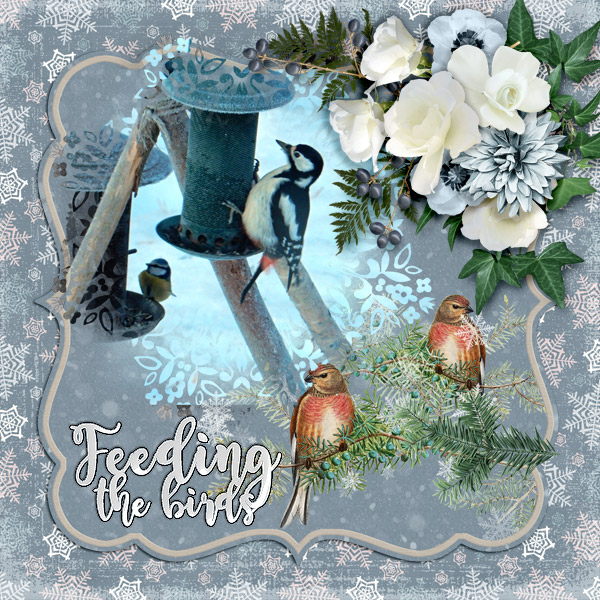 600_ADB_WintersFreeze1_Pia