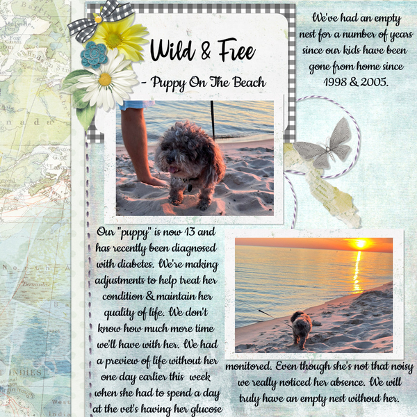 7/2022 Use It All Challenge - Empty Nest