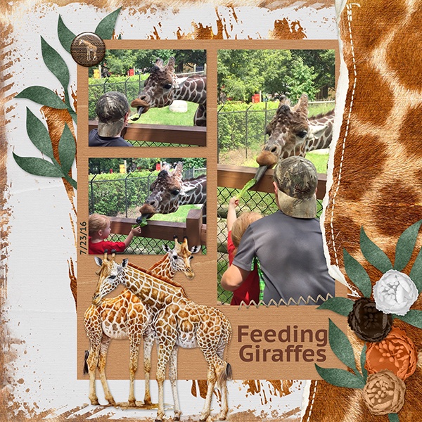 7-23-16feedinggiraffessmall.jpg