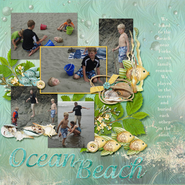7-Andrew_beach_2013_small