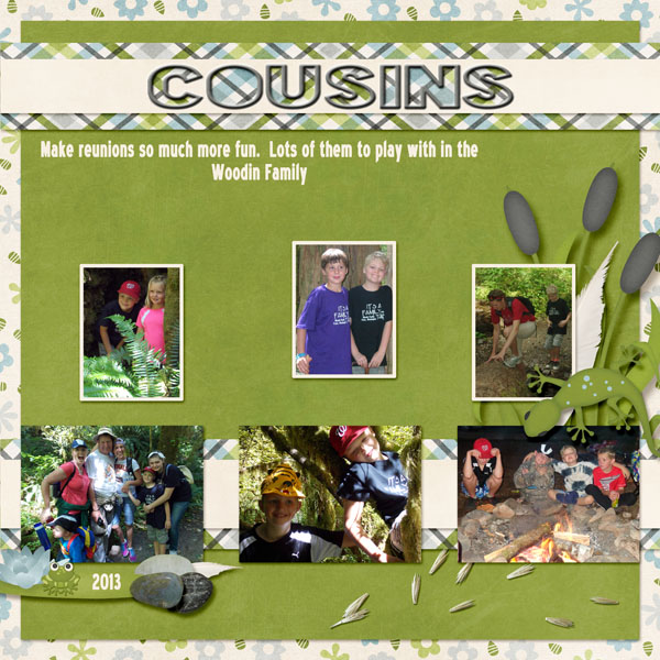 7-Andrew_cousins_2013_small