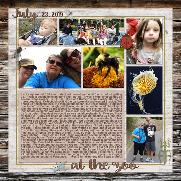 7-July_23_2019_small