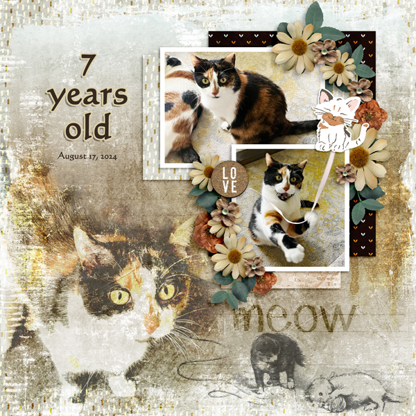 7 Years Old!