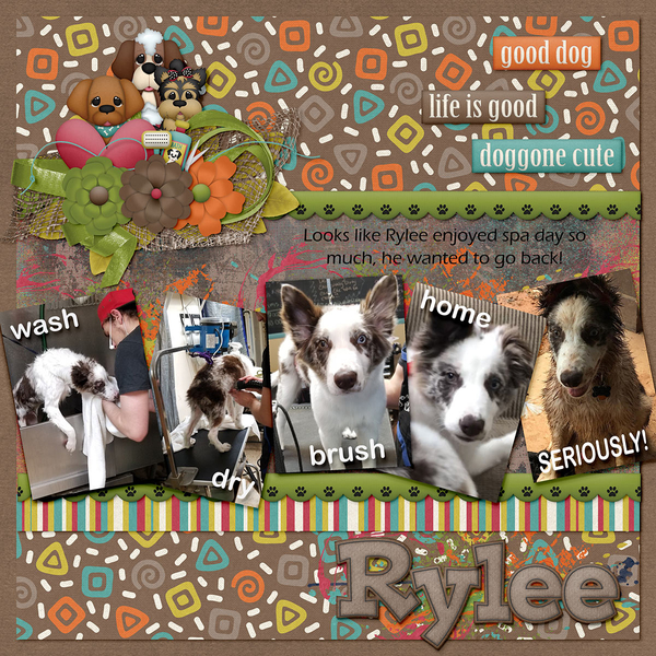 8-10-21 TUESDAY SALES BOOMERSGIRL DESIGNS