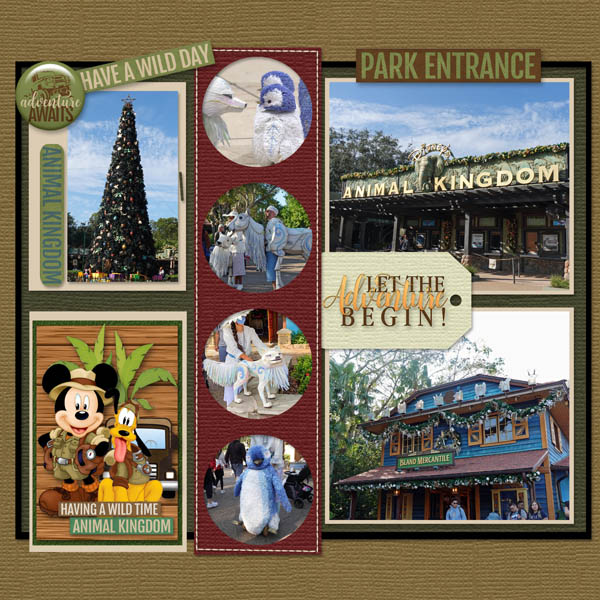 8-1_MFish_PhotoStrips7_01_GS
