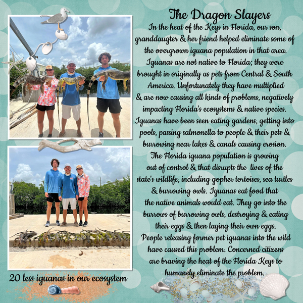 8/2024 Journaling Challenge