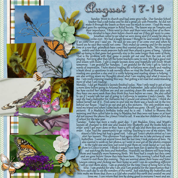 8-August_17-19_2014_small