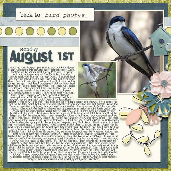 8-August_1_2016_small