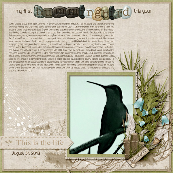 8-August_31_2018_small