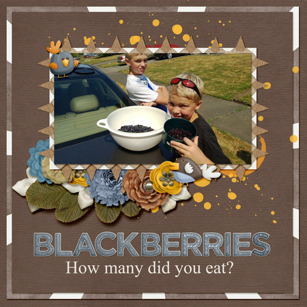 8-Cody_blackberries_2013_small