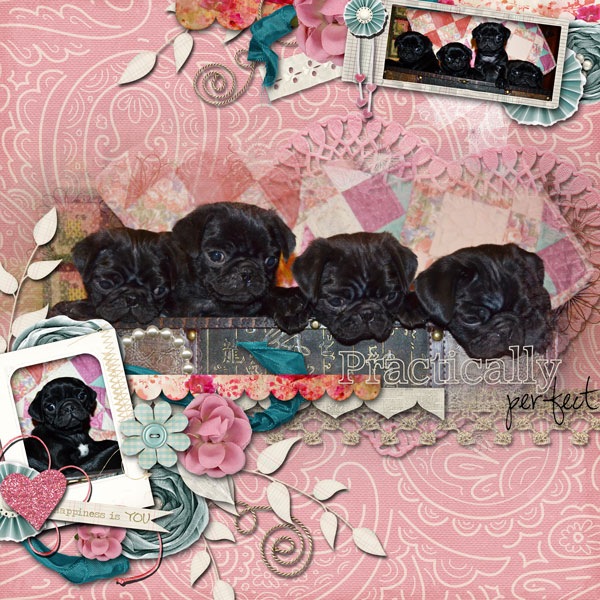 8 weeks