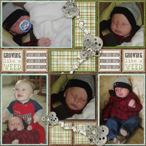 9-Maddox_2013_small