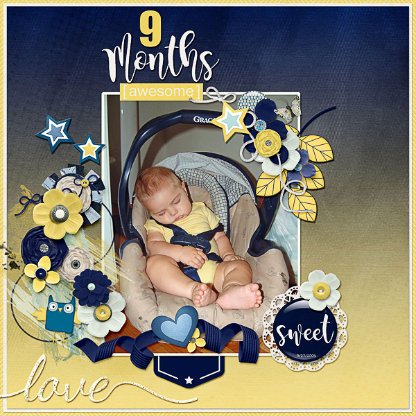 9 Months