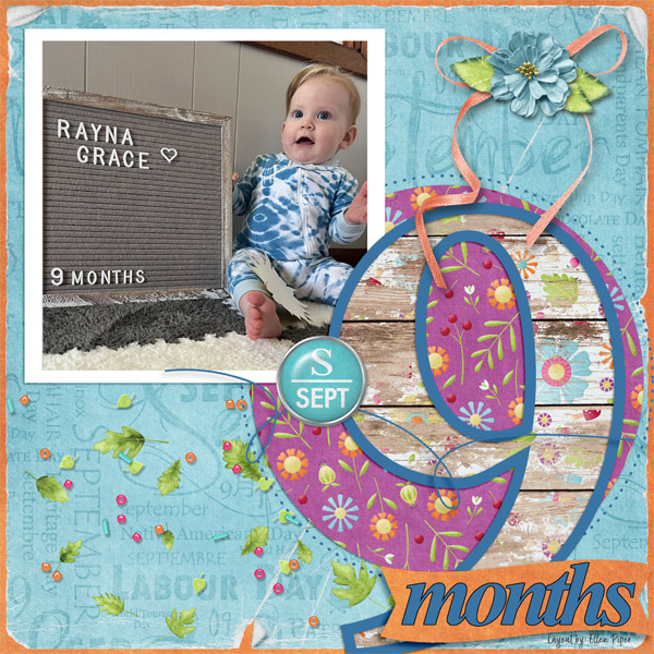 9 Months