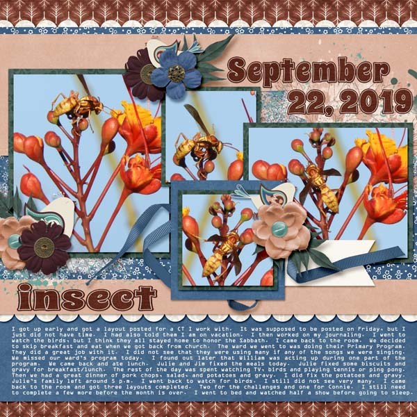 9-September_22_2019_Empty_nest