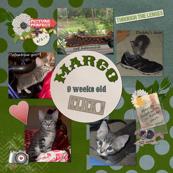 9 Weeks