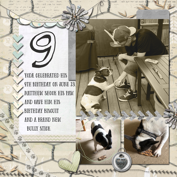 9