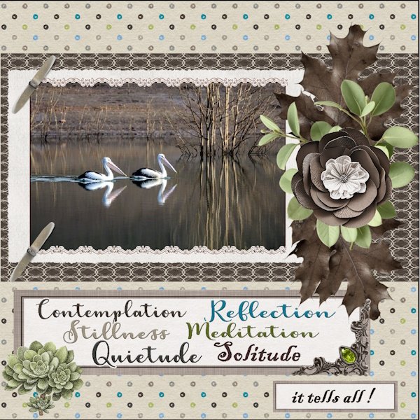 9th - January 2026 - Reflection challenge-Perfect xxx.jpg