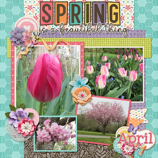 _A Beautiful Spring_