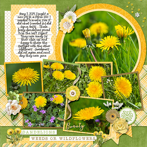 _Dandelion Wishes - Left_