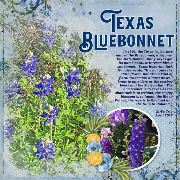 _EnhanceYourEdges_2018-04_TX-flowers