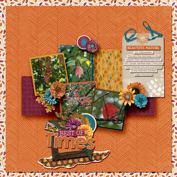 _Fall Foliage_