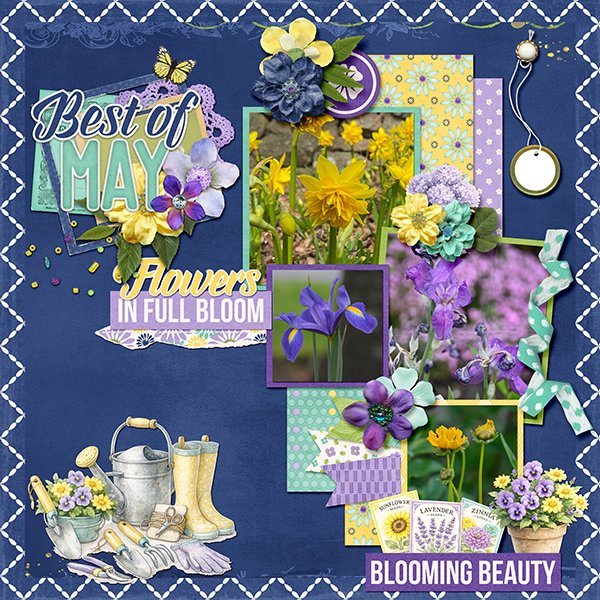 _May Flowers_
