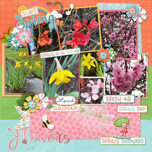 _Spring Flowers And Showers_