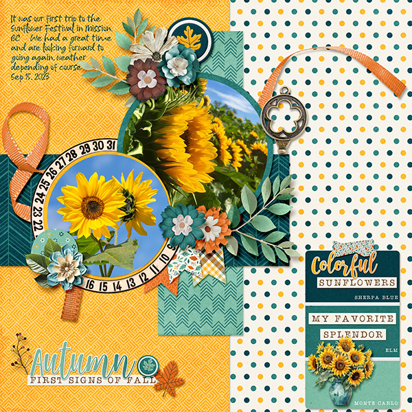 _Sunflower Fields_