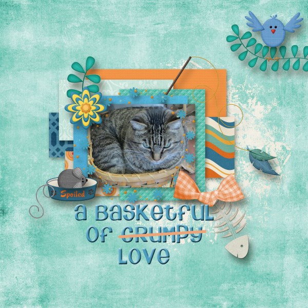 A Basketful of Love