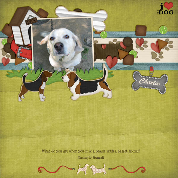 a Bassagle Hound